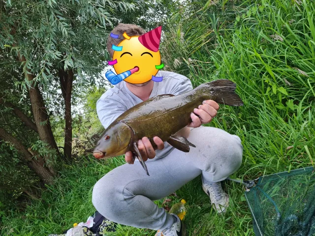 Schleie