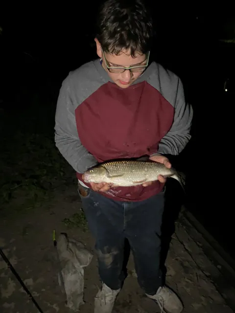 Döbel