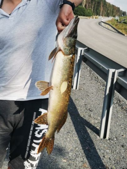 Fischbacher Teich ALLE ANGELN