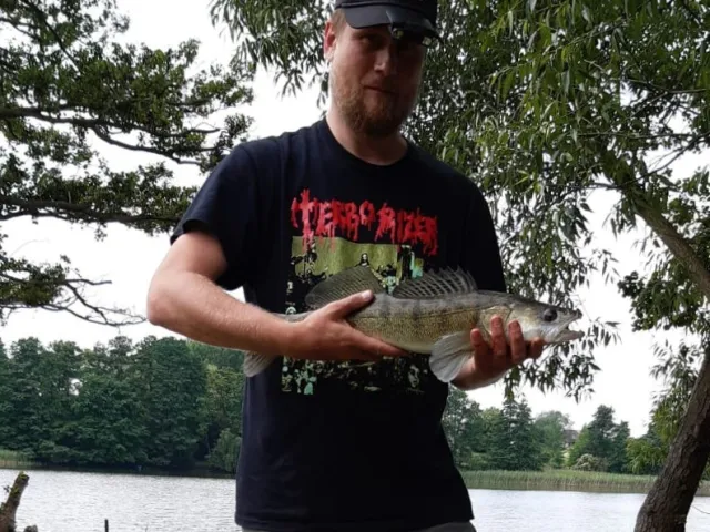 Zander