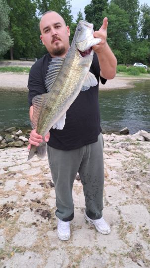 Zander-2