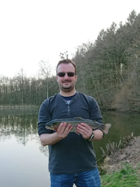 Regenbogenforelle