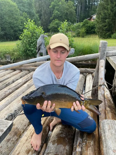 Karpfen