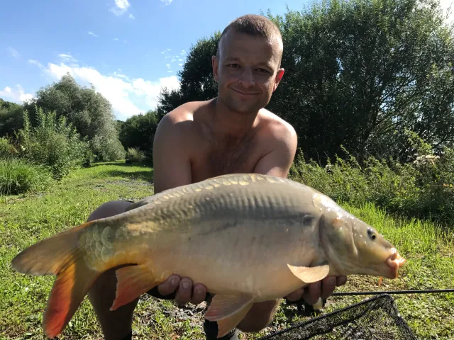 Karpfen