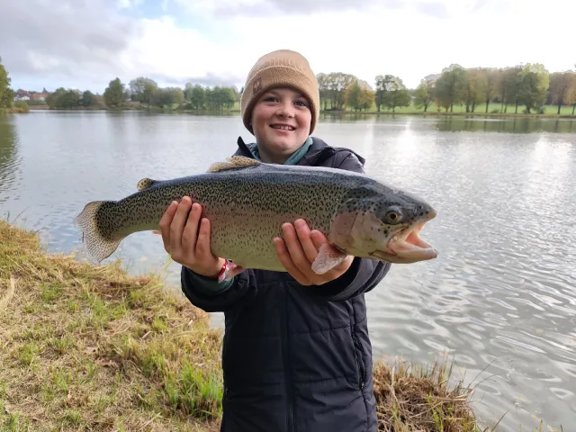 Regenbogenforelle