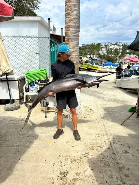 Marlin