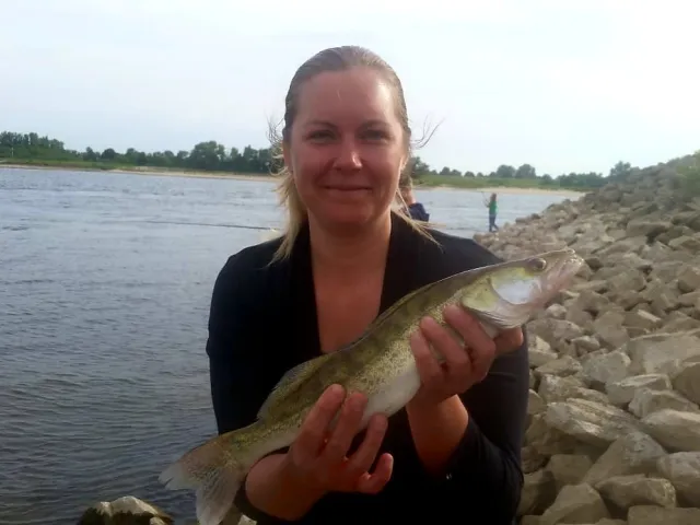 Zander