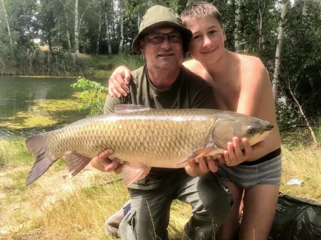 Graskarpfen