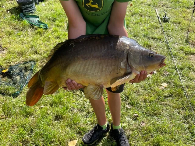 Karpfen