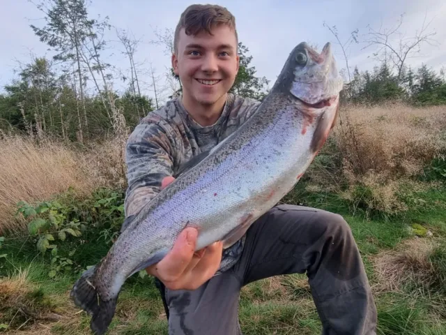 Regenbogenforelle