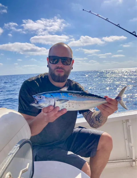 Bonito