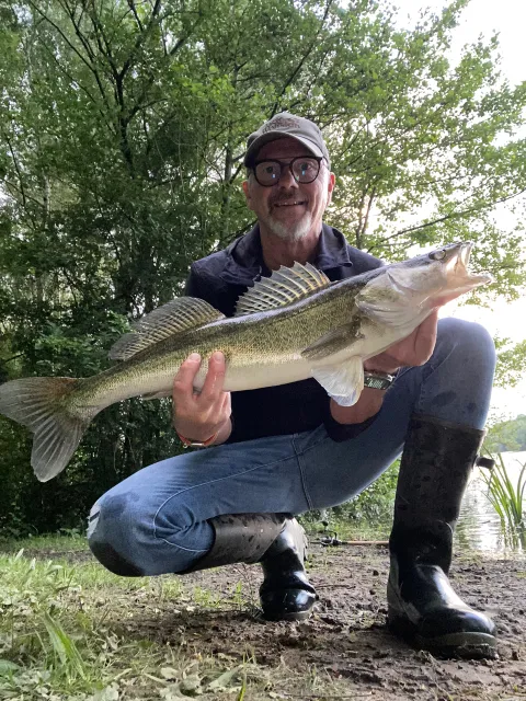 Zander