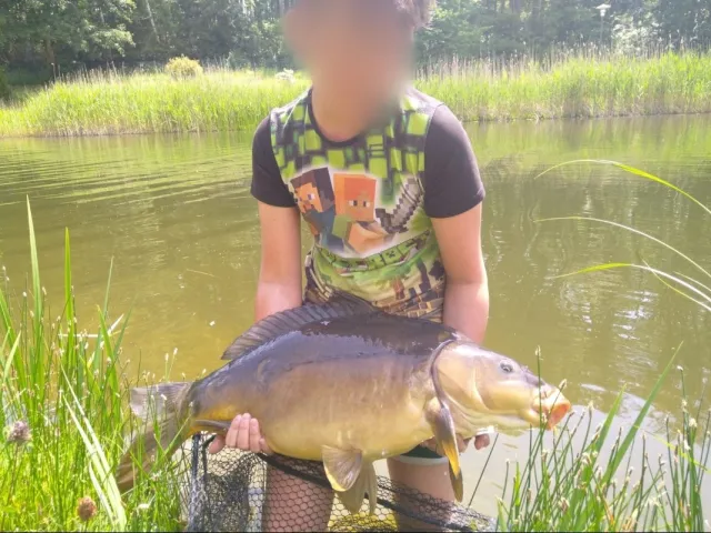 Karpfen