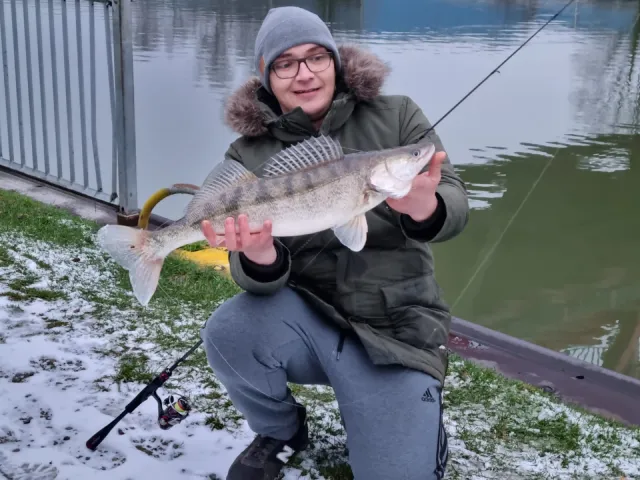 Zander