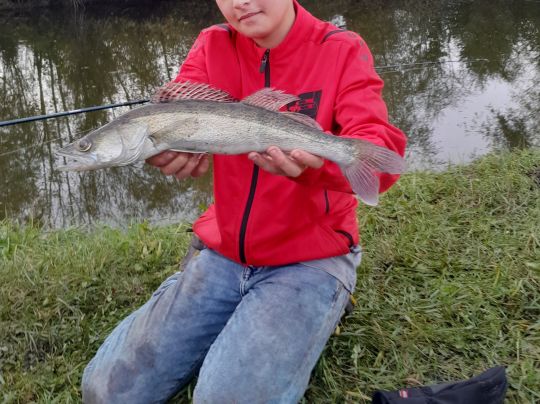 Zander-4