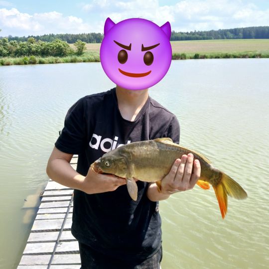 Karpfen