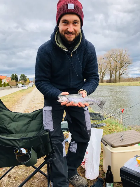 Regenbogenforelle