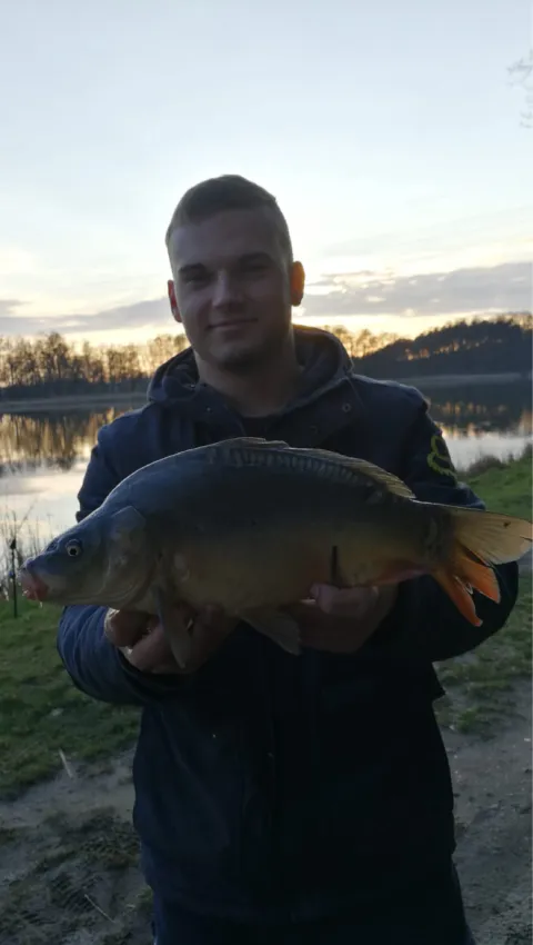 Karpfen