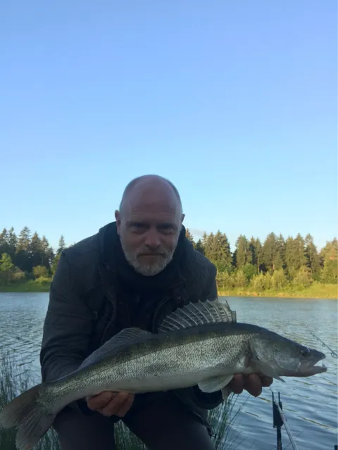 Zander