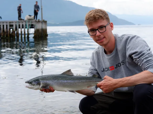 Lachs