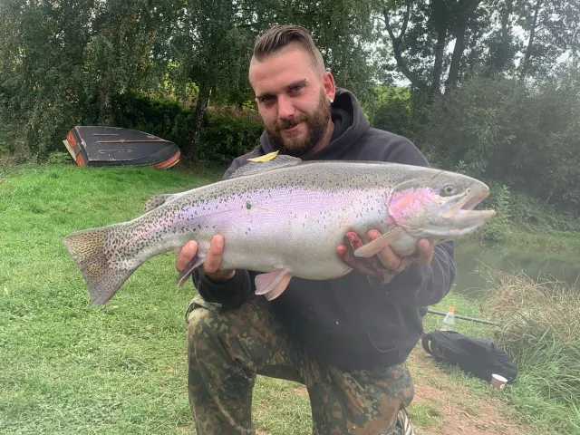 Regenbogenforelle