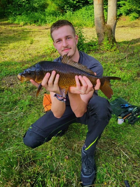 Karpfen