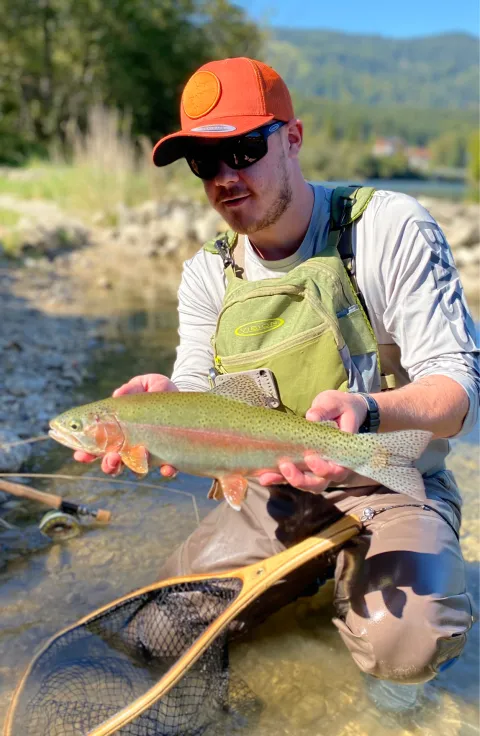 Regenbogenforelle