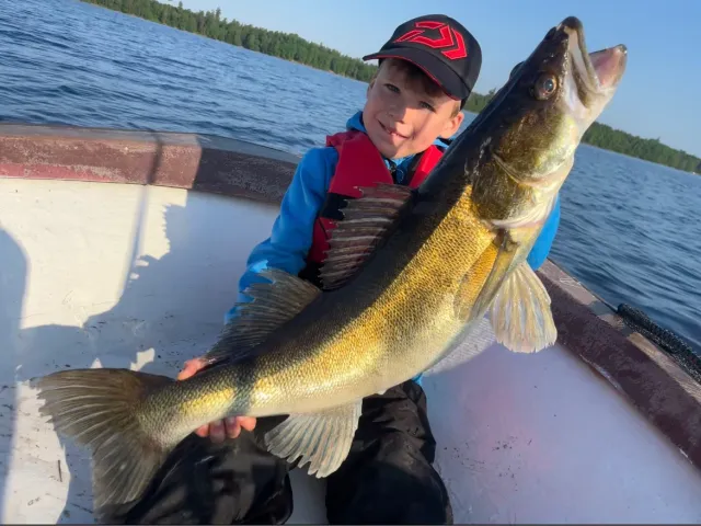 Zander