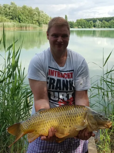 Karpfen
