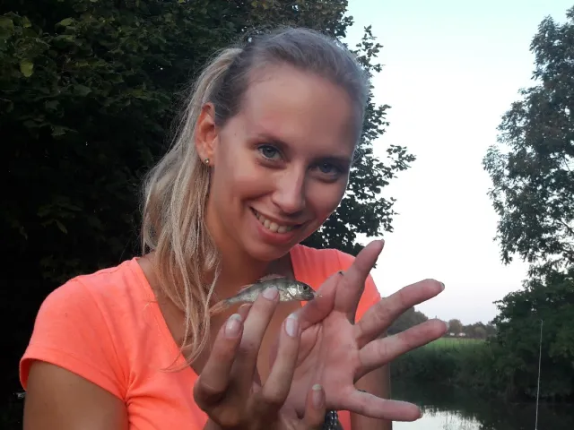 Flussbarsch