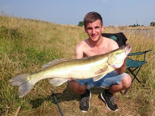 Zander
