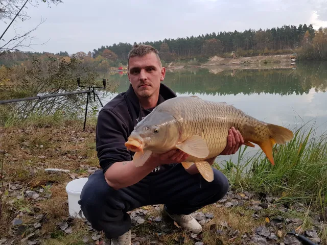 Karpfen