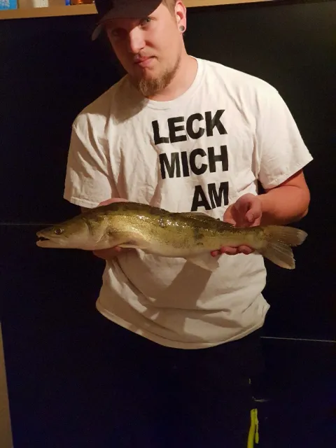 Zander