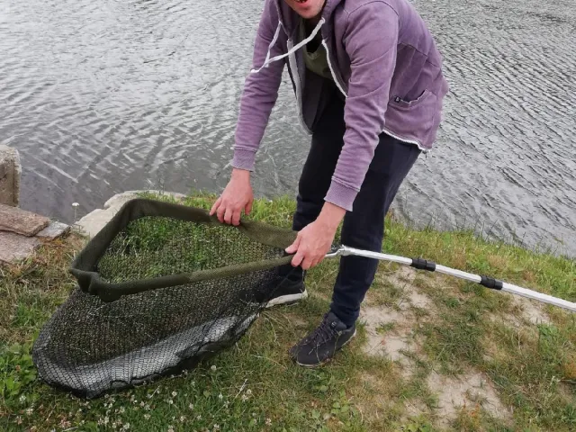 Stör