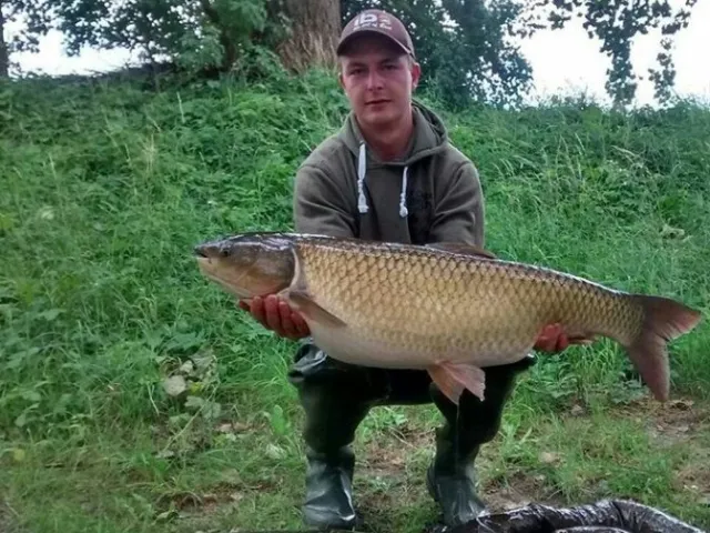 Graskarpfen