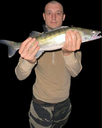 Zander-4