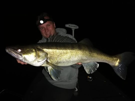 Zander