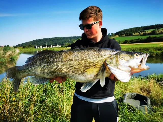 Zander