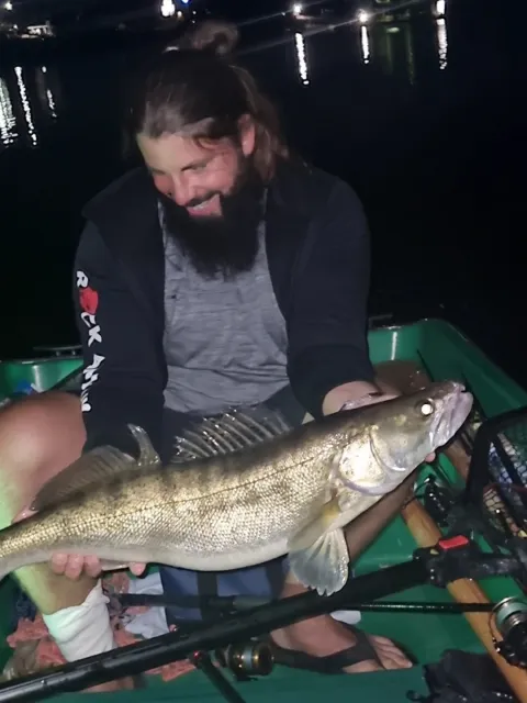 Zander