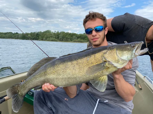 Zander