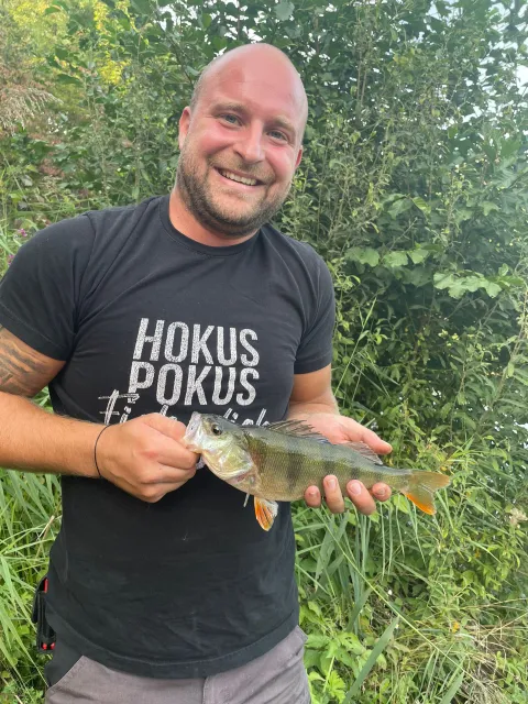 Flussbarsch
