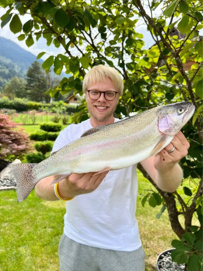Regenbogenforelle