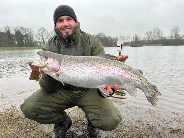 Regenbogenforelle