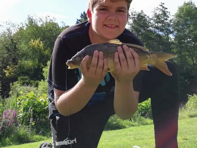 Karpfen