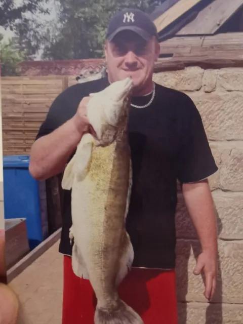 Zander
