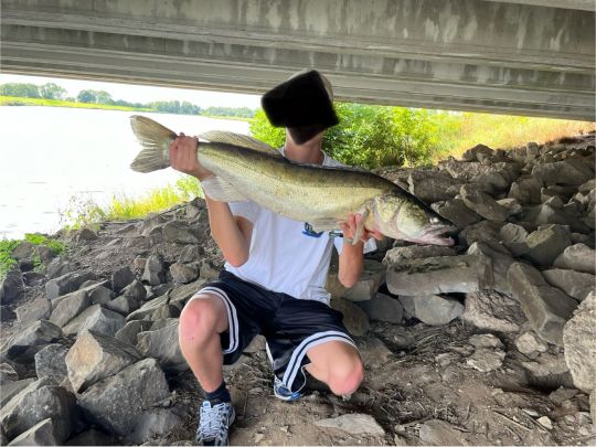 Zander