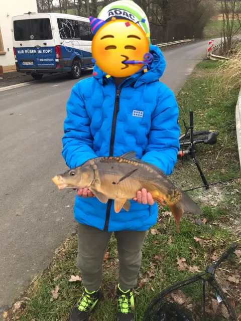 Karpfen