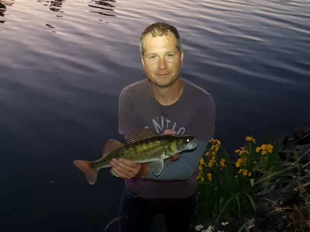 Zander