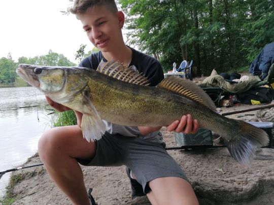 Zander