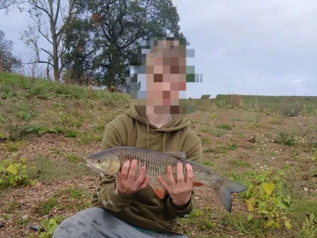Döbel